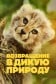 Возвращение в дикую природу