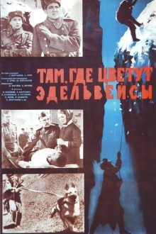 Там, где цветут эдельвейсы