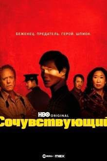 Сочувствующий