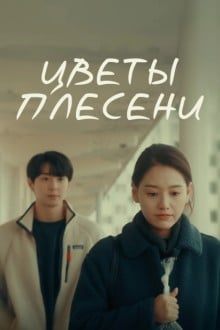 Цветы плесени