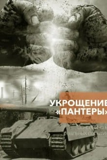 Укрощение «Пантеры»