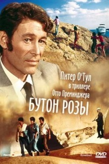 Бутон розы
