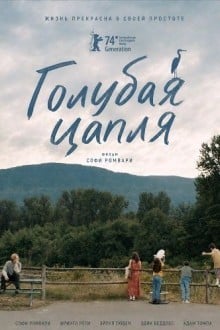 Голубая цапля