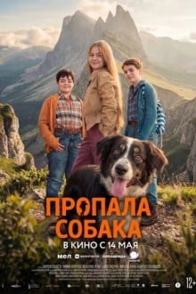 Пропала собака