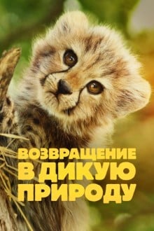 Возвращение в дикую природу