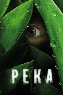 Река