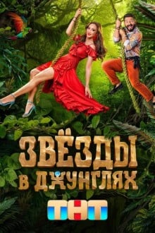 Звёзды в джунглях