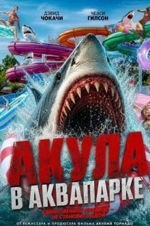Акула в аквапарке