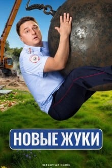 Жуки
