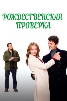 Рождественская проверка