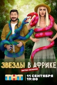 Звёзды в Африке