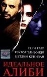 Идеальное алиби