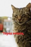 Кот