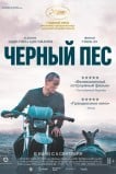 Чёрный пёс