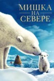 Мишка на Севере