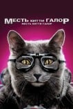 Кошки против собак: Месть Китти Галор