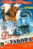 Друзья из табора