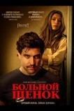 Больной щенок