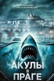 Акулы в Праге