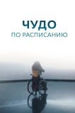 Чудо по расписанию