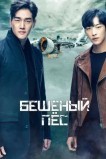Бешеный пёс