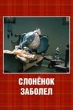 Слонёнок заболел