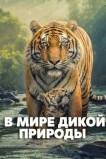 В мире дикой природы