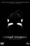 Черный плавник