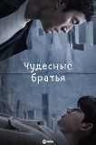 Чудесные братья