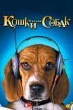 Кошки против собак