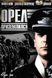 Орел приземлился