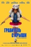 Грабитель с крыши