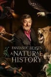 Фантастические твари: Естественная история