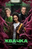 Жвачка