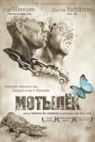 Мотылек