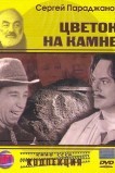 Цветок на камне