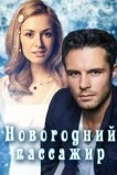Новогодний пассажир