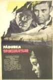 Лес повешенных
