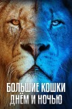 Большие кошки днём и ночью