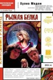 Рыжая белка