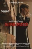 Ласточки прилетели