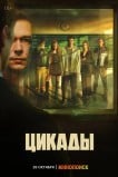 Цикады