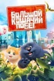 Большой кошачий побег