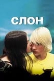 Слон