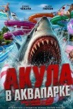 Акула в аквапарке