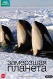 Замерзшая планета