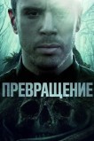 Становление