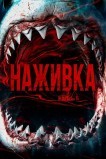 Наживка