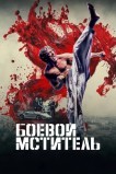 Боевой мститель