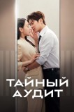 Тайный аудит